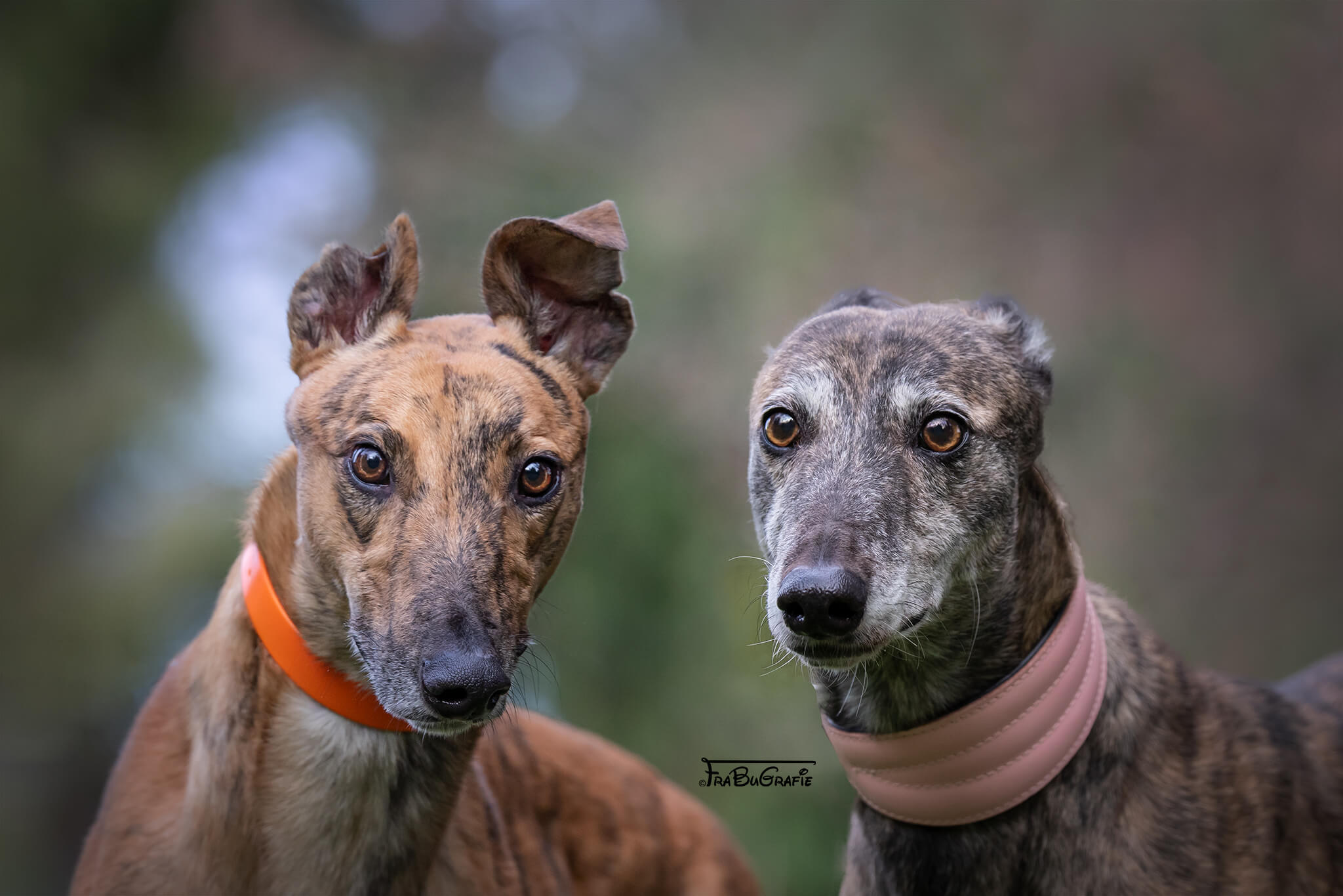 Wunder gibt es immer wieder...